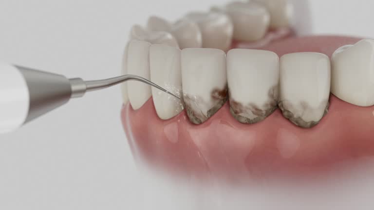 Reliable Dental contractor in Jackson, OH by Dentist Open Now
